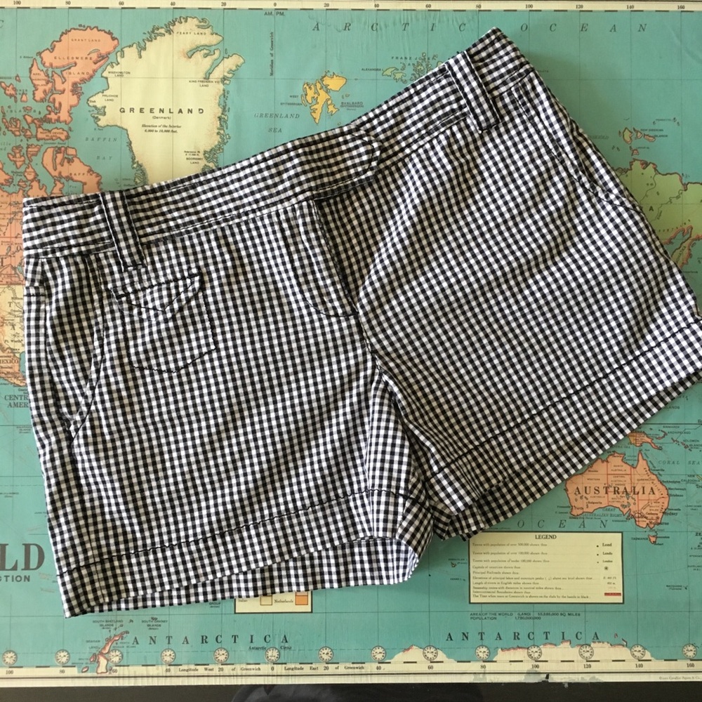 Ann Taylor Loft Gingham Shorts 4P